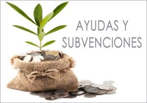 ayudas empresas Castellón