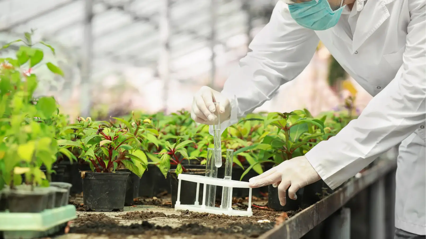 AYUDAS AL SECTOR AGROINDUSTRIAL
